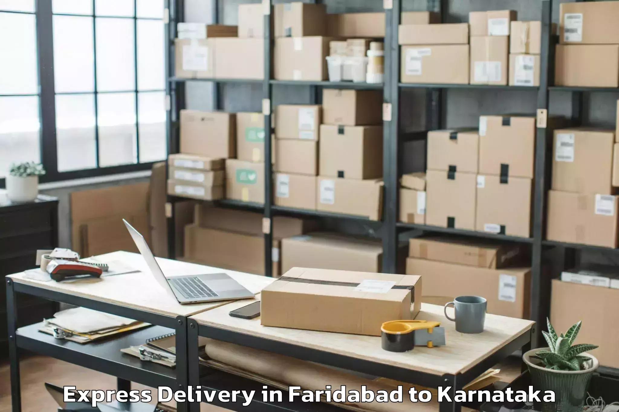 Quality Faridabad to Shikaripur Express Delivery